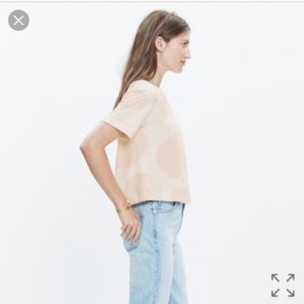 Madewell Big Dot Crop T